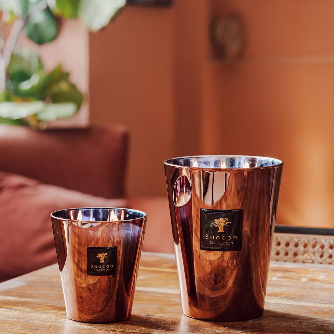 BAOBAB Candela Max10 Les exclusive Cyprium
