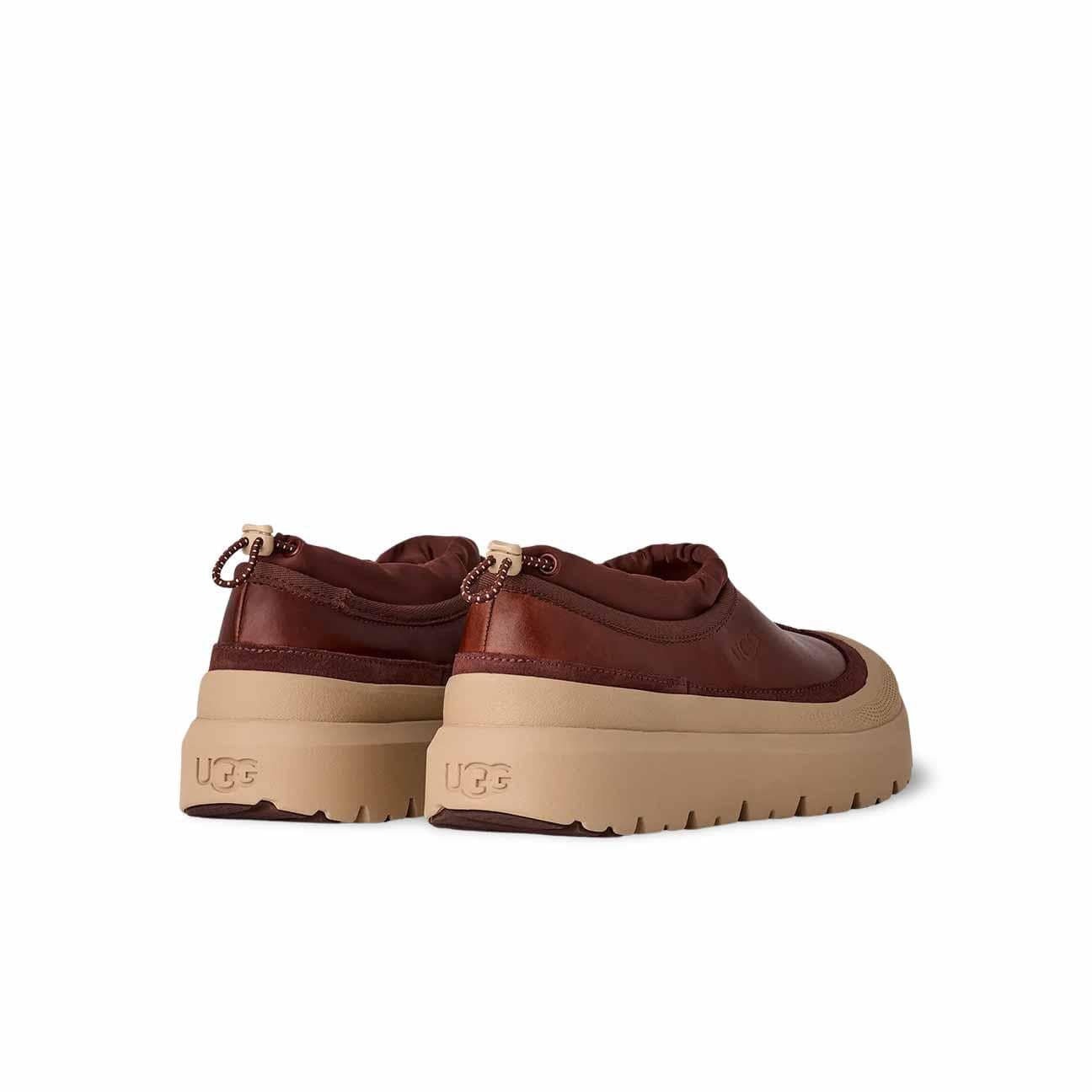 UGG Stivali uomo Tasman Wheather Hybrid Cordovan