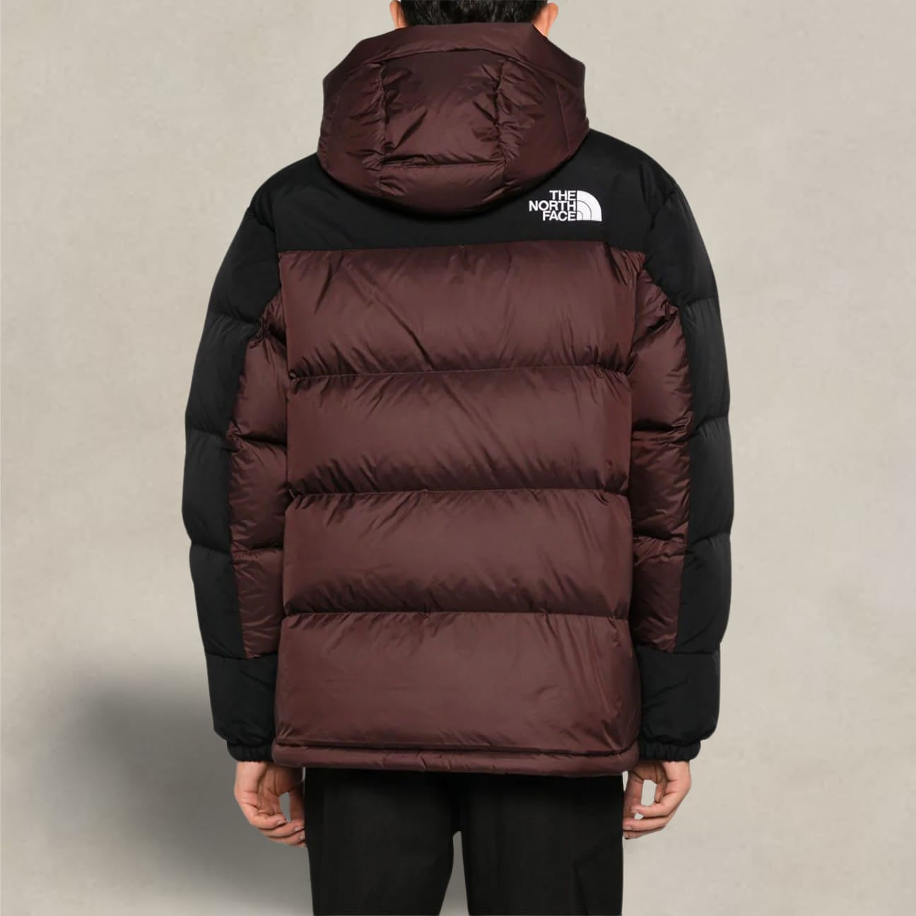 Piumino uomo Himalayan Coal Brown<BR/> NF0A4QYXLOS1 LOS1 COAL BROWN THE NORTH FACE 