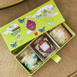 BAOBAB Box Candles Trio Mexico Rio Miami