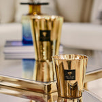 BAOBAB Candela Max08  Les Exclusive Aurum