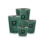 BAOBAB Candela MAx10 Kasar Pasha