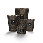 BAOBAB Candela MAx10 Kasar Sultan