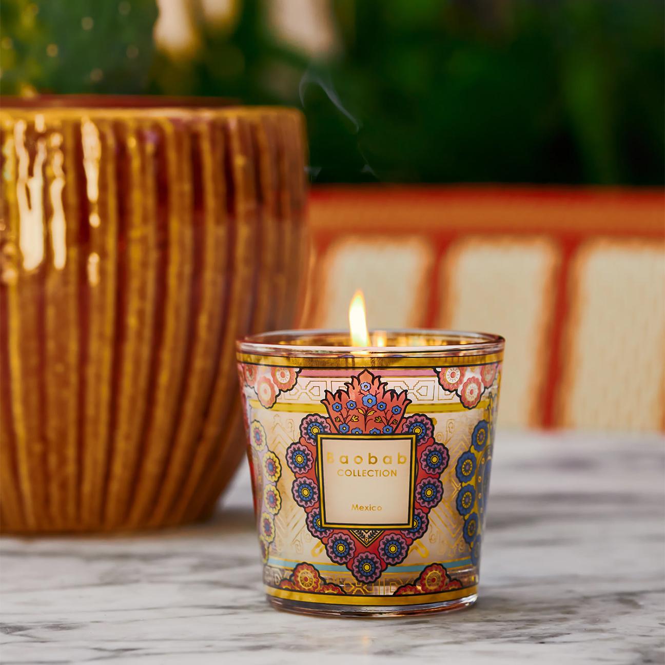 BAOBAB Candela My First Baobab Mexico