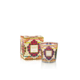 BAOBAB Candela My First Baobab Mexico