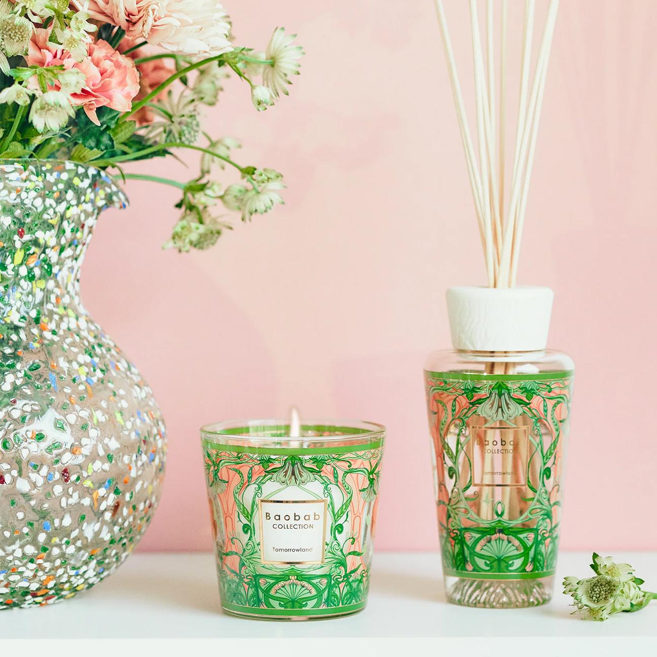 BAOBAB Gift Box My First Baoba Tomorrowland