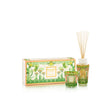 Geschenkbox Mein erster Baoba Tomorrowland