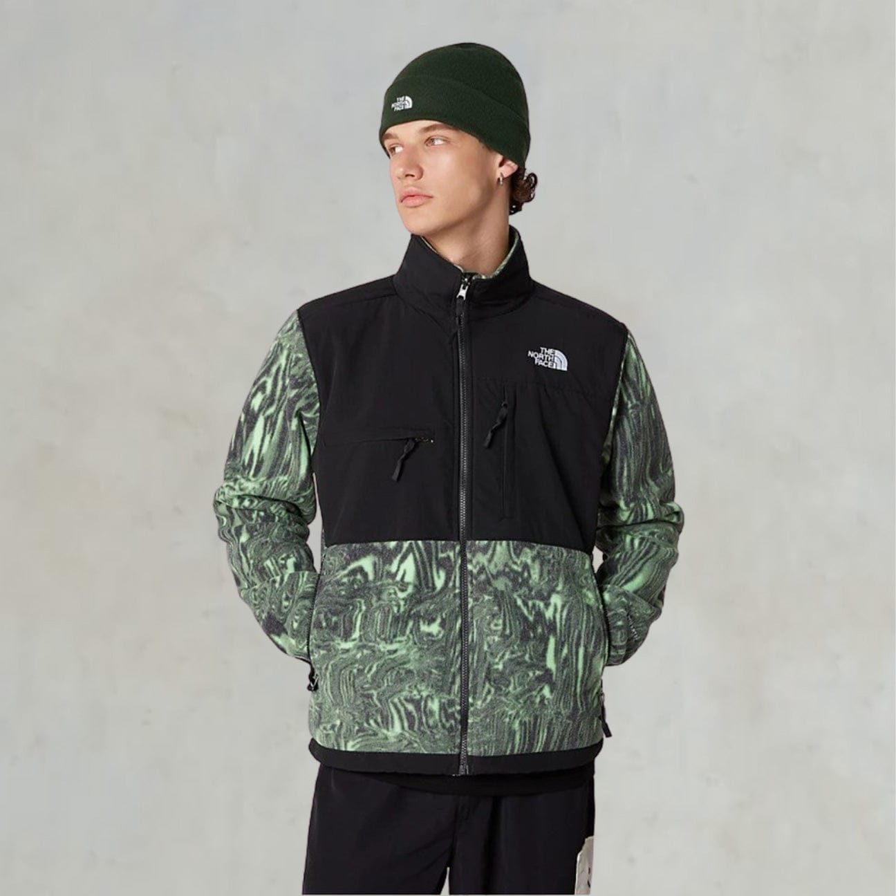 THE NORTH FACE Giacca Denali Chlorophyll
