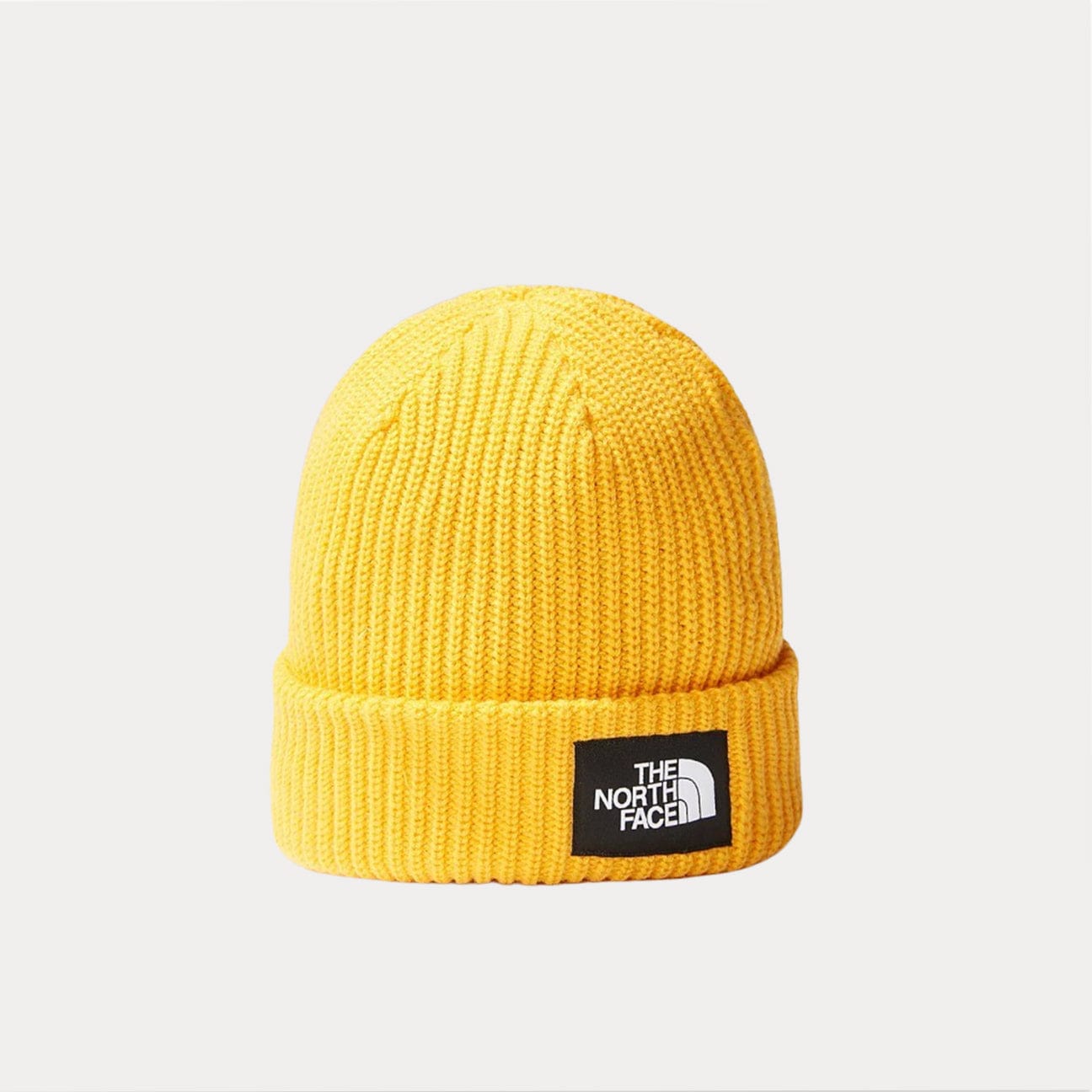 THE NORTH FACE Cappello Beanie Salty Dog Summit Gold