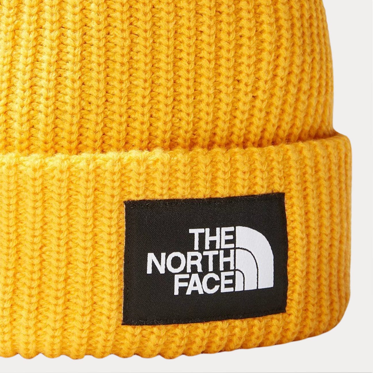 THE NORTH FACE Cappello Beanie Salty Dog Summit Gold