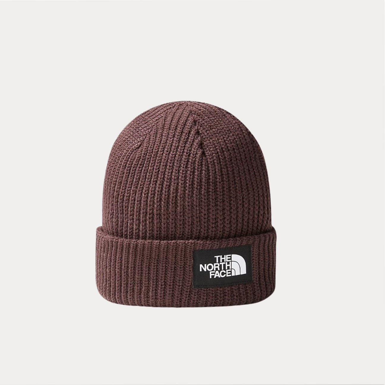 THE NORTH FACE Cappello Beanie Salty Dog Brown