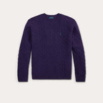 POLO RALPH LAUREN Maglia uomo a trecce girocollo Purple