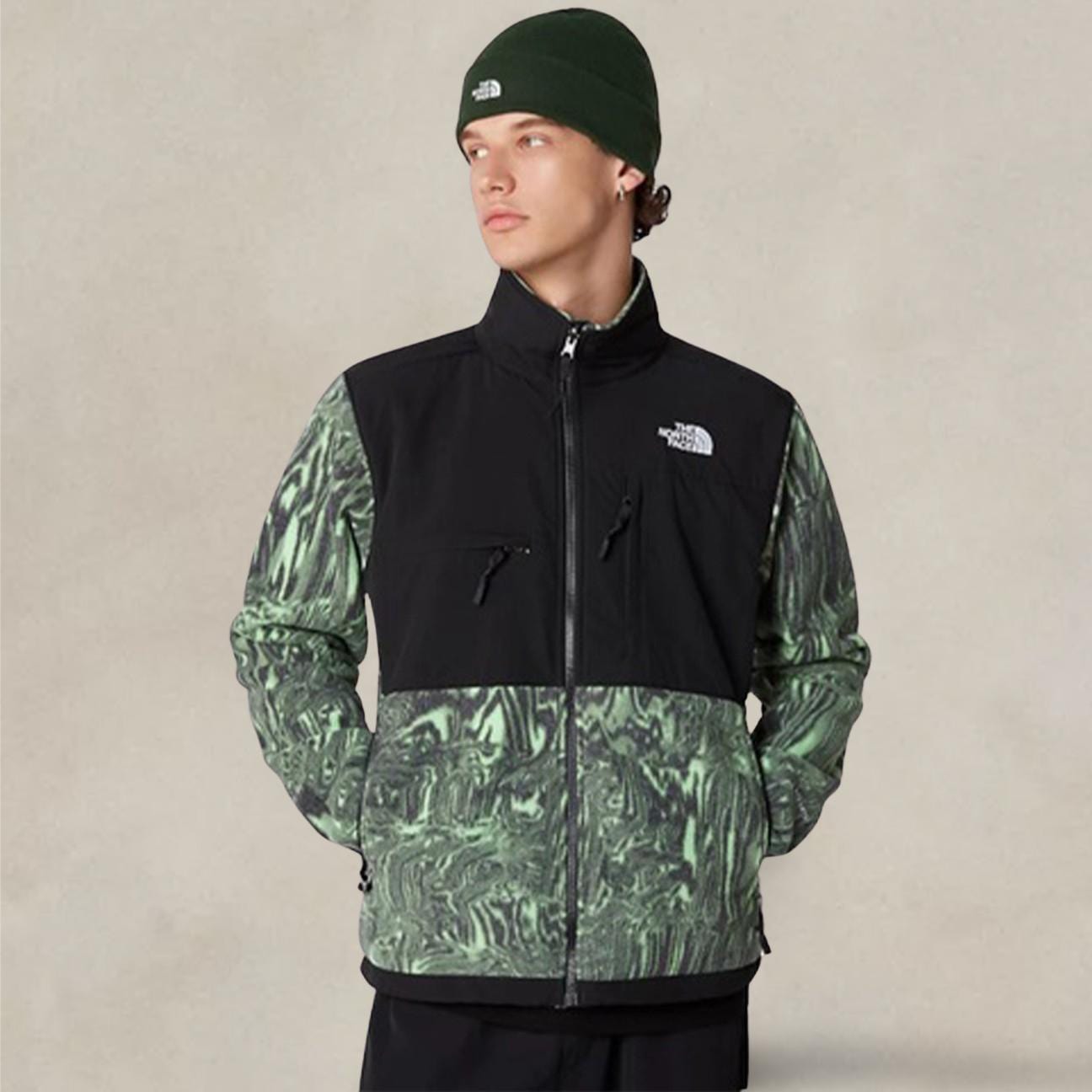 THE NORTH FACE Giacca uomo Denali Chlorophyll
