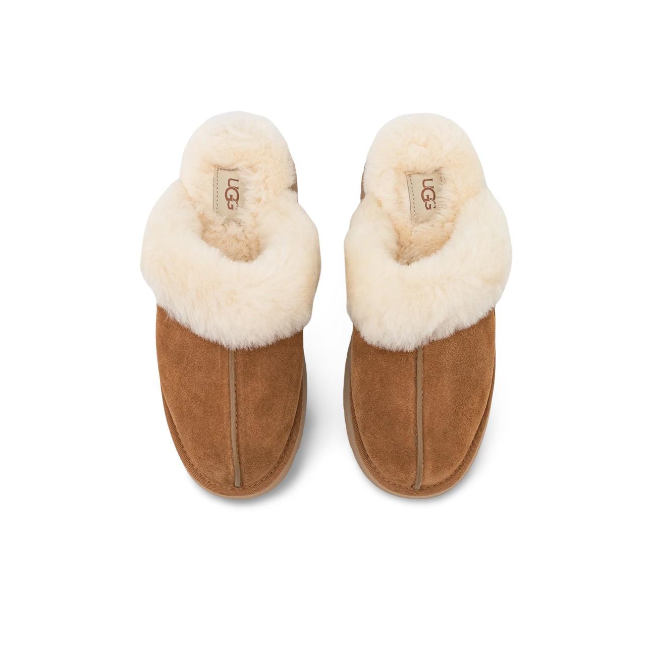 UGG Sabot donna Disquette Chesnut