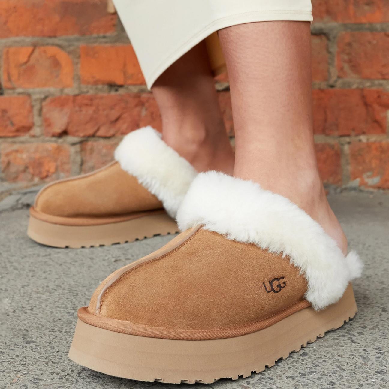 UGG Sabot donna Disquette Chesnut
