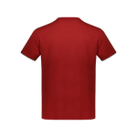 POLO RALPH LAUREN Maglietta Reversibile Logo Polo RL Grigio- Rosso