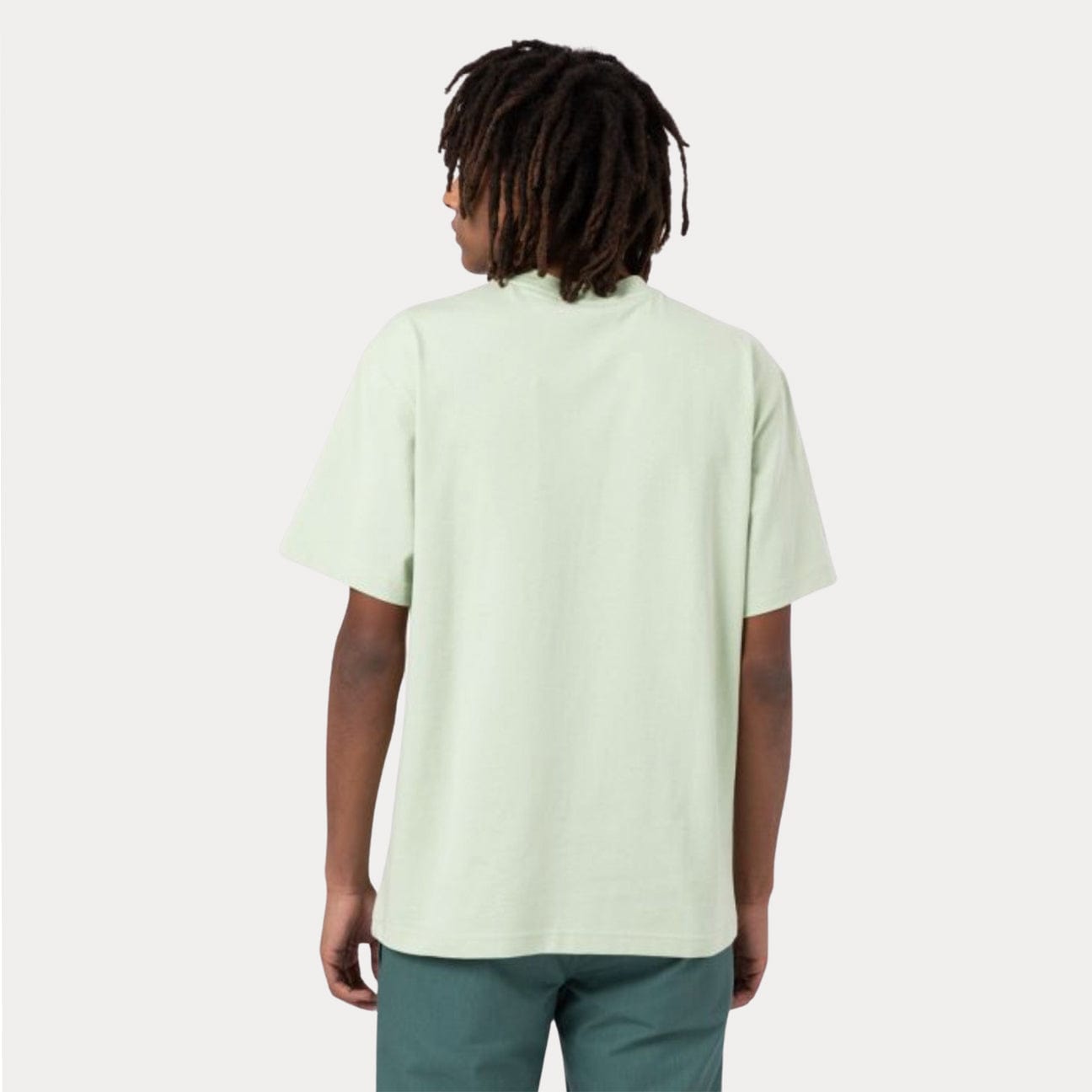 DICKIES T-Shirt Loretto Celadon Green