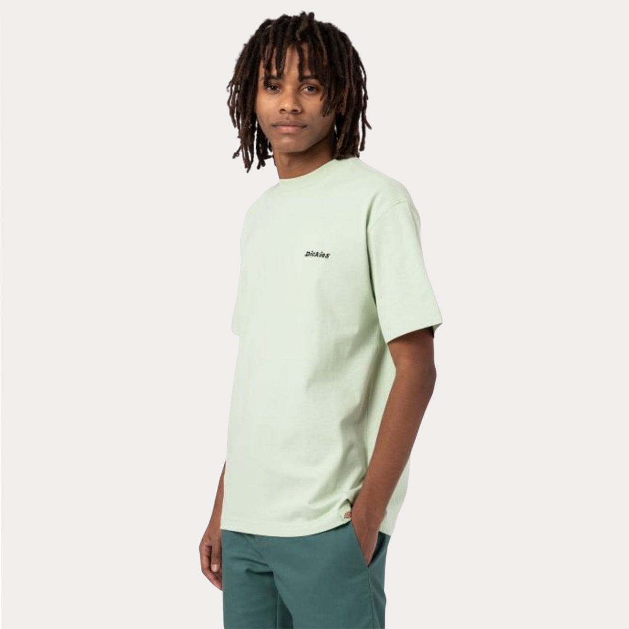 DICKIES T-Shirt Loretto Celadon Green