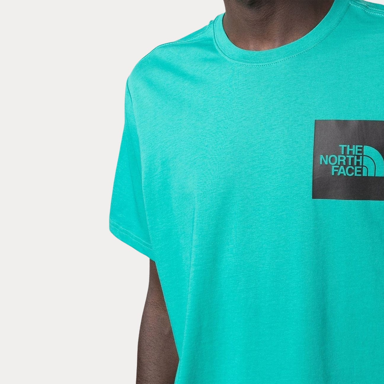THE NORTH FACE T-Shirt Fine Porcelain Green